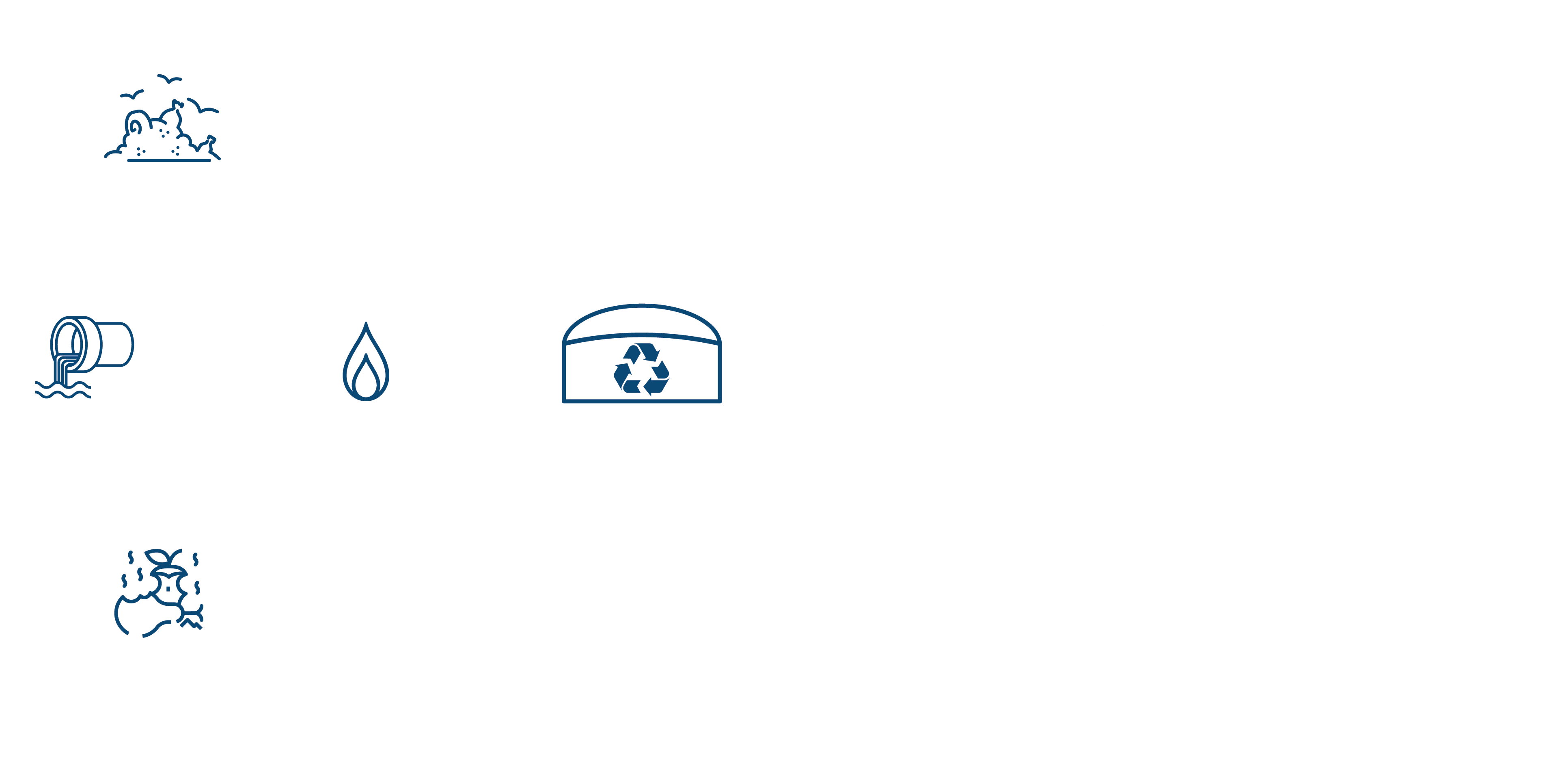 Renewable Natural Gas graphic