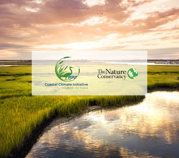 the nature conservancy